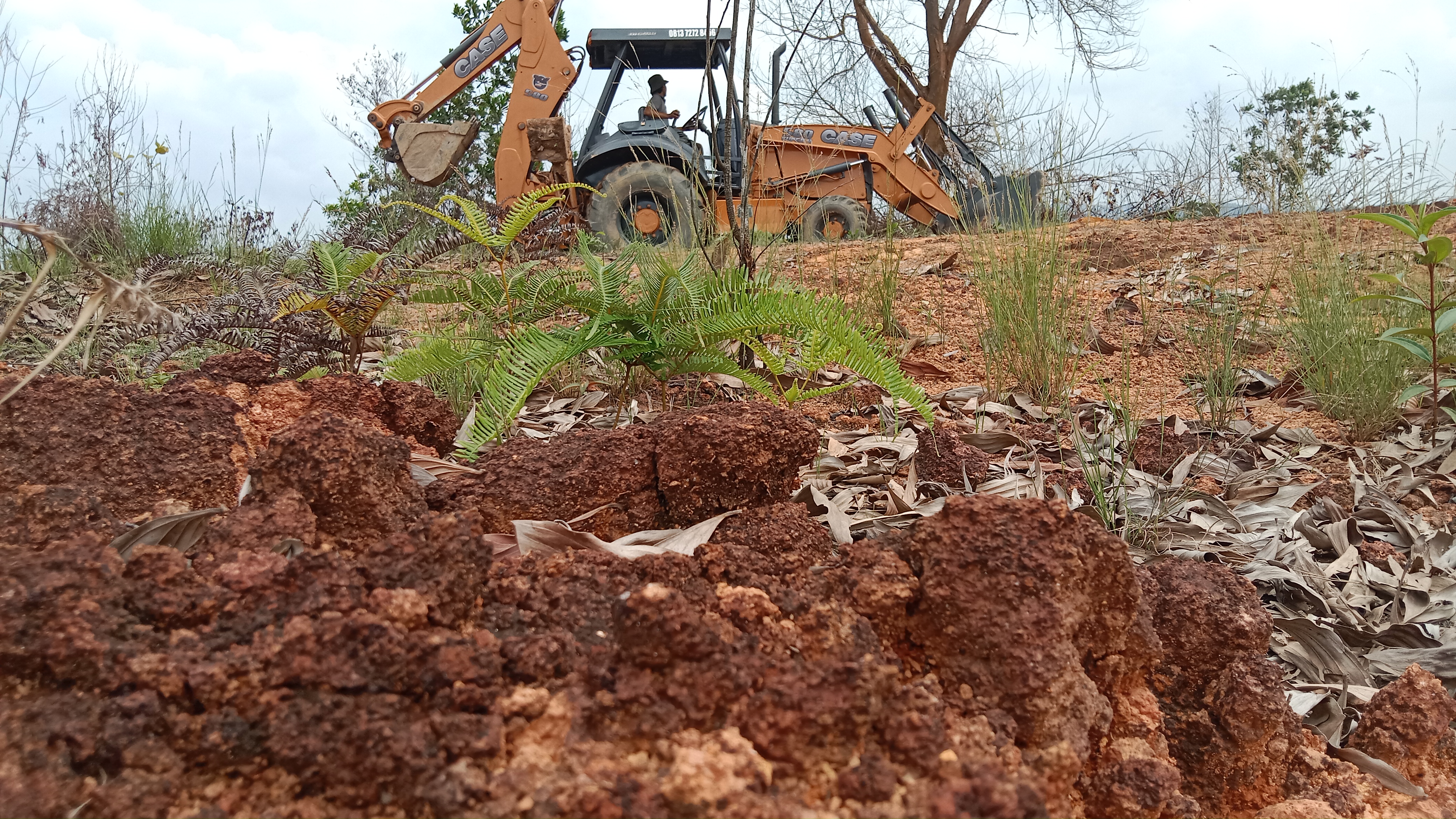 Clearing Lahan 3